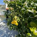 Casa Il Portico Διαμέρισμα