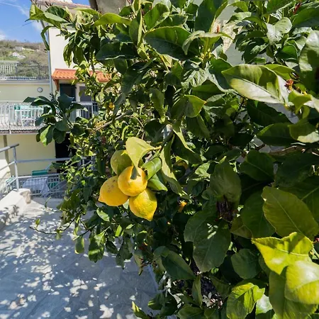 Casa Il Portico Apartment