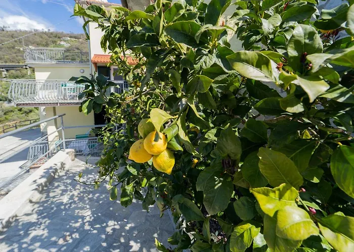 Casa Il Portico Lägenhet